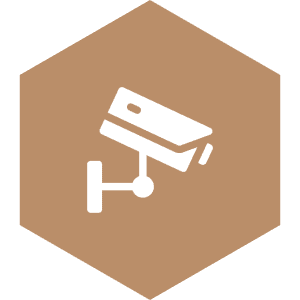 Security & Surveillance